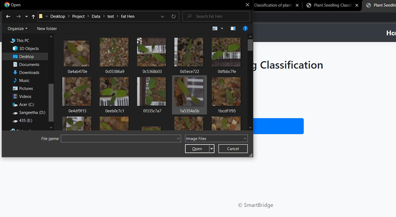 Augmented training data for plants