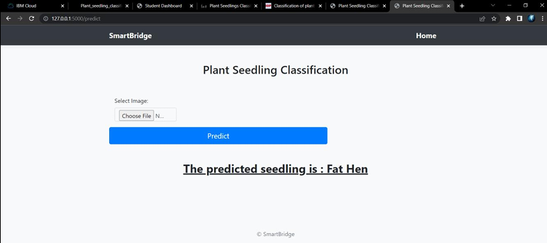 Augmented training data for plants